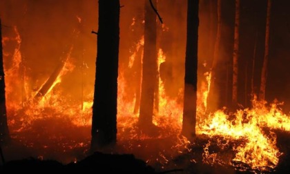 Rischio incendi boschivi, da sabato 26 marzo in Emilia-Romagna scatta l'allerta arancione