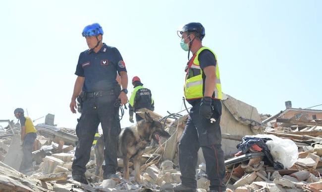 Ecco come Bayla ha ritrovato il cadavere di Pedrazzini nel pozzo