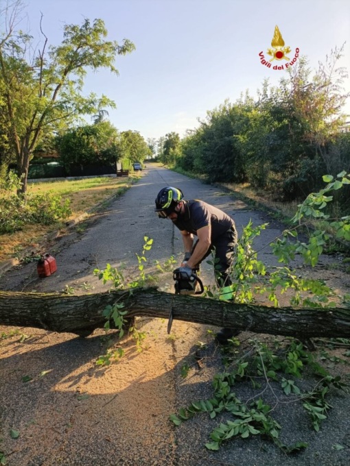 Modena, Reggio e provincia: un bilancio del maltempo di ieri sera