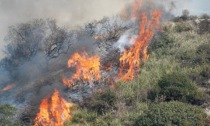 Incendi nei boschi, in Emilia Romagna scatta lo stato di grave pericolosità