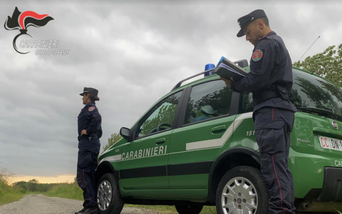 Benessere dei cani e pulizia dei box: sanzionati due pensionati e sequestrati i cani