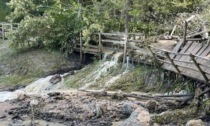 Il Parco nazionale sul crollo alle Fonti di Poiano: cambiamenti ed evoluzione naturale