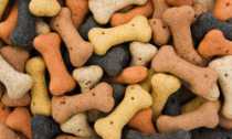 Biscotti per cani: come sceglierli senza sbagliare?