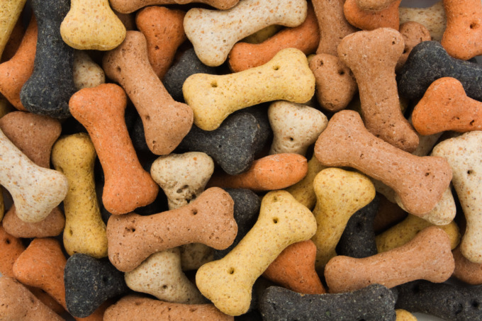 Biscotti per cani: come sceglierli senza sbagliare?