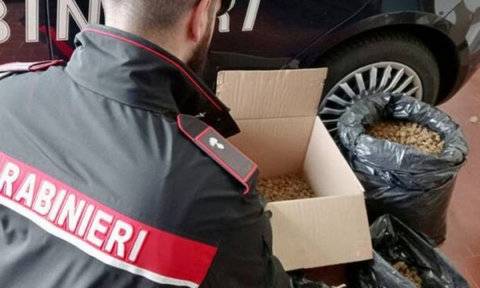 Trovati 5 chili di marijuana in un casolare di Scandiano