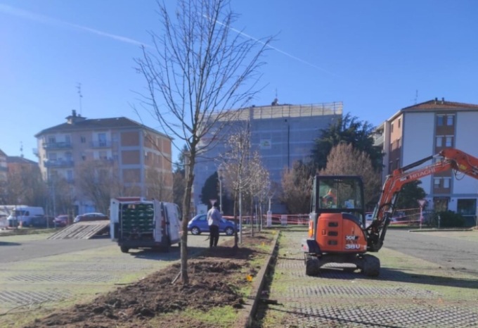 Riqualificazione verde a Reggio Emilia, piantate 95 piante nuove