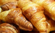 Croissant con farina di grillo: la nuova colazione di un bar di Reggio Emilia