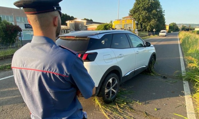 Si ferma per soccorrere una civetta, ma arriva un’auto e lo tampona