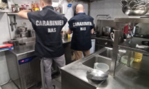 Sporco e ragnatele in un ristorante etnico di Reggio Emilia: attività sospesa e responsabile multato