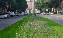 Modena, accoltellato a morte un giovane reggiano