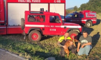 Cane resta intrappolato in un pozzo a una profondità di 8 metri