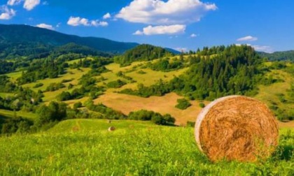 Uno studio sui suoli agricoli della nostra montagna