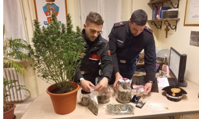 In camera da letto una serra di marijuana
