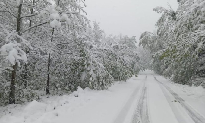 Colpo di coda dell’inverno: neve dai 600 metri