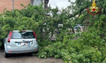 Vento e pioggia in tutto il reggiano