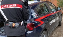 Tenta un furto in un'azienda agricola: denunciato dai Carabinieri