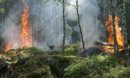 Incendi boschivi, dal 1 luglio attiva la fase di attenzione su tutto il territorio regionale