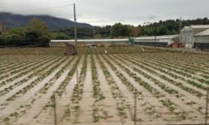 Oltre 400 ettari di terreni agricoli interessati dal maltempo