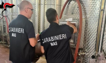 Carabinieri Nas Parma: sanzionata azienda vinicola