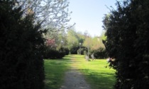 Giornate FAI di Primavera: le proposte di Reggio