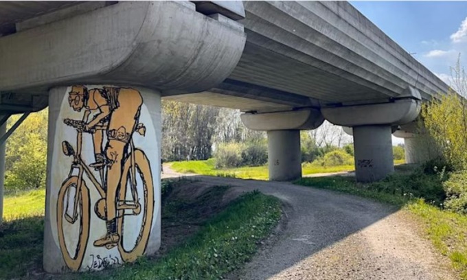In bicicletta fino a Modena per “Alberi Festival”