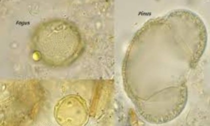 Come si evolvono i paesaggi nel tempo in una ricerca di Unimore
