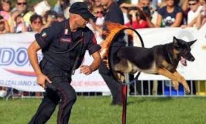 Esibizione della squadra agonistica dei Carabinieri Cinofili di Firenze a San Polo d’Enza