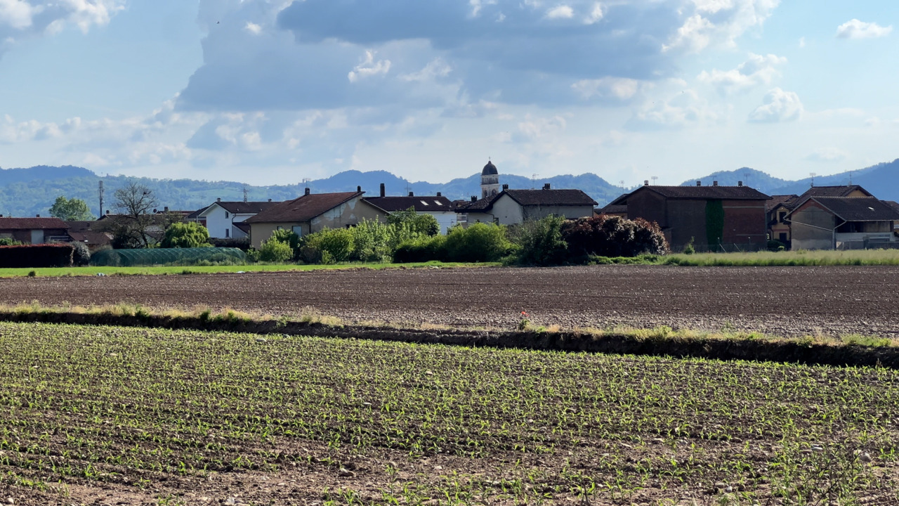 Conserve® Grain: l’innovazione che ridefinisce la protezione dei cereali stoccati
