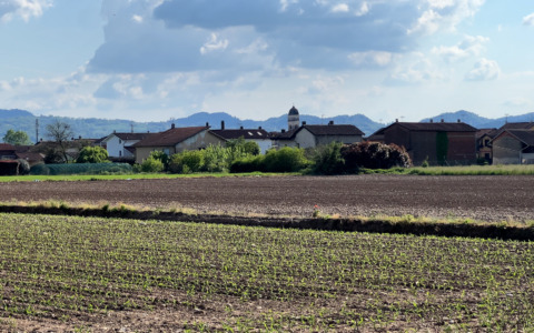 Conserve® Grain: l’innovazione che ridefinisce la protezione dei cereali stoccati