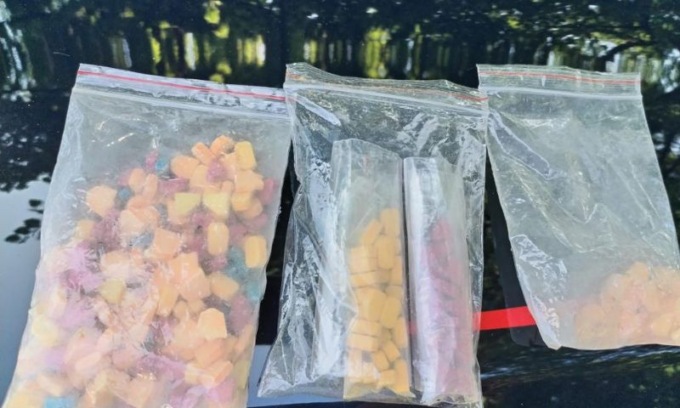 I Carabinieri trovano 236 pastiglie di ecstasy nascoste alla base di una pianta