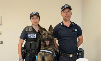 Primo arresto dell'agent Argo K9