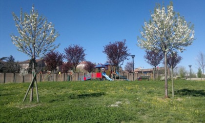 14enne aggredita e picchiata da coetanee al Parco della Resistenza: la condanna della città