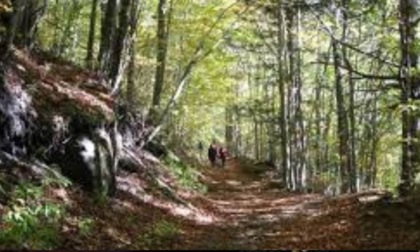 Federconsumatori ai Nas: rendete noti i rifugi trovati non in regola
