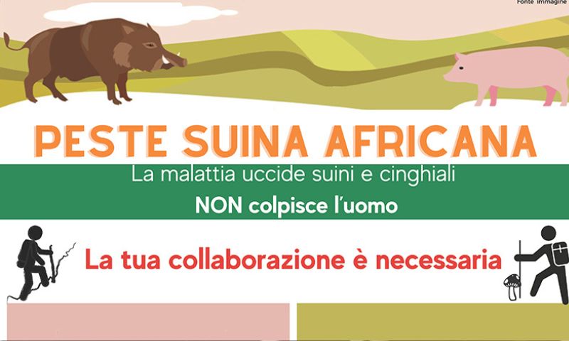 Scattano le misure di prevenzione per la peste suina: massima attenzione nelle escursioni in montagna