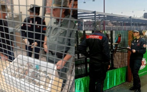 Controlli alla Rassegna Ornitologica