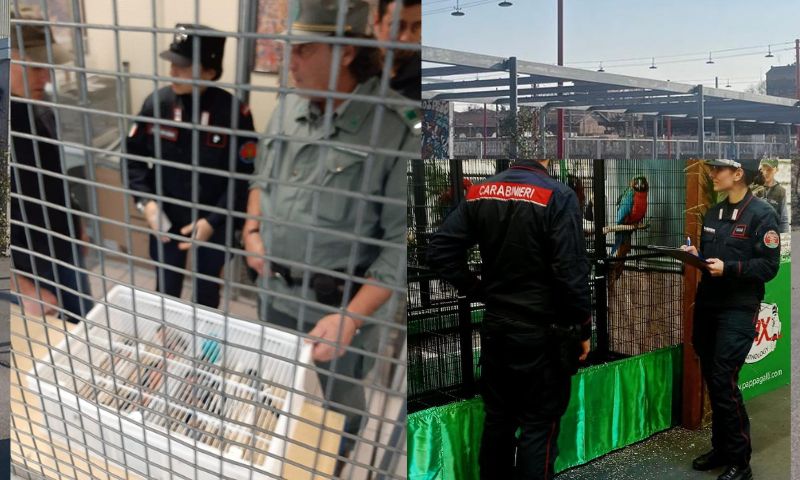 Controlli alla Rassegna Ornitologica