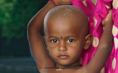 L’India e gli altri viaggi pieni di umanità di Domenico Palmia