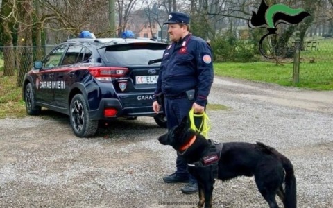 È allarme esche avvelenate: intensificati i controlli