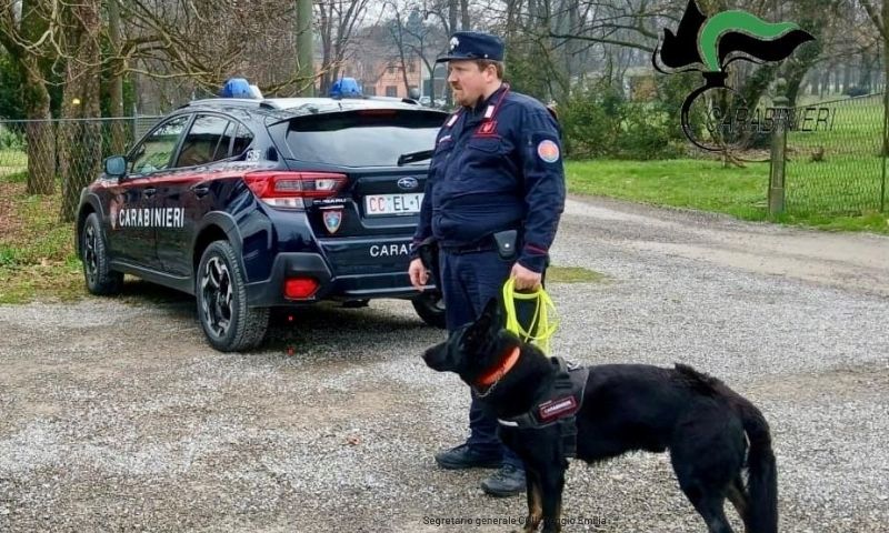 È allarme esche avvelenate: intensificati i controlli