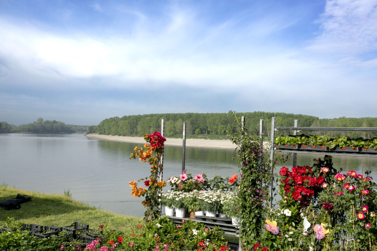 A Guastalla e Gualtieri torna “Georgica”, la festa della Terra