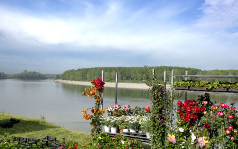A Guastalla e Gualtieri torna “Georgica”, la festa della Terra