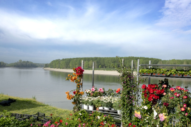 A Guastalla e Gualtieri torna “Georgica”, la festa della Terra