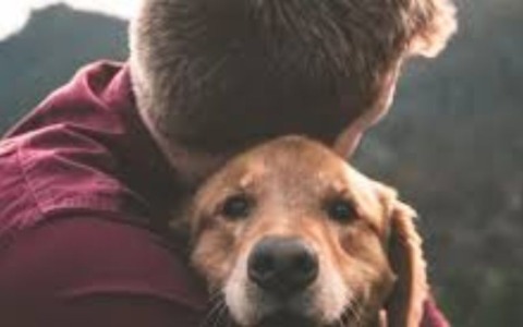 I reggiani hanno speso oltre 72 milioni di euro per i loro animali