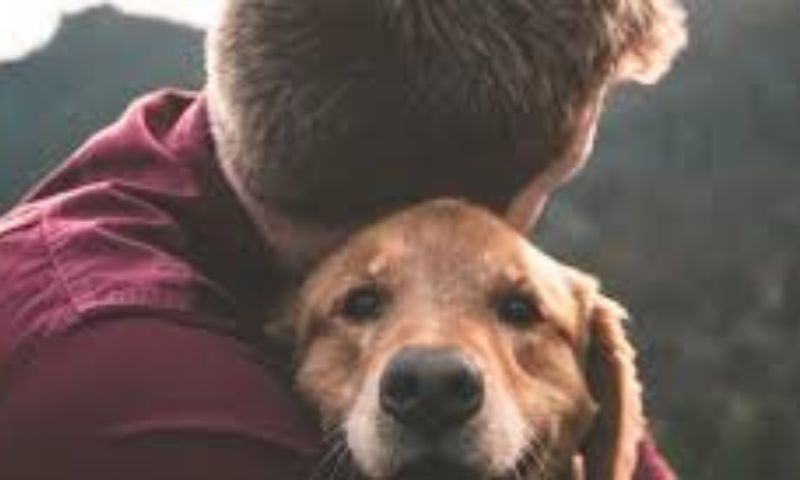 I reggiani hanno speso oltre 72 milioni di euro per i loro animali