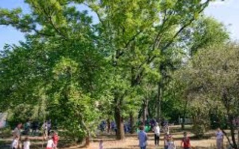 Festa di Primavera al Parco del Legno