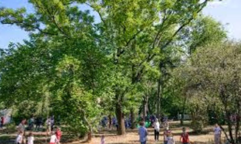 Festa di Primavera al Parco del Legno