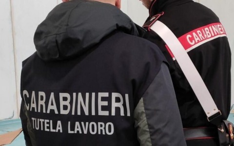 Agroalimentare: sequestrate 91 tonnellate di cereali e legumi conservate tra topi e senza tracciabilità