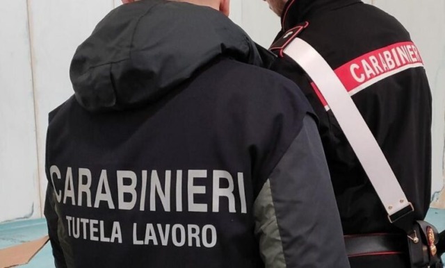 Agroalimentare: sequestrate 91 tonnellate di cereali e legumi conservate tra topi e senza tracciabilità