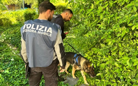 In un casolare una base di spaccio