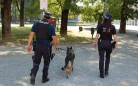 Controlli anti spaccio e degrado con unità cinofile in centro storico